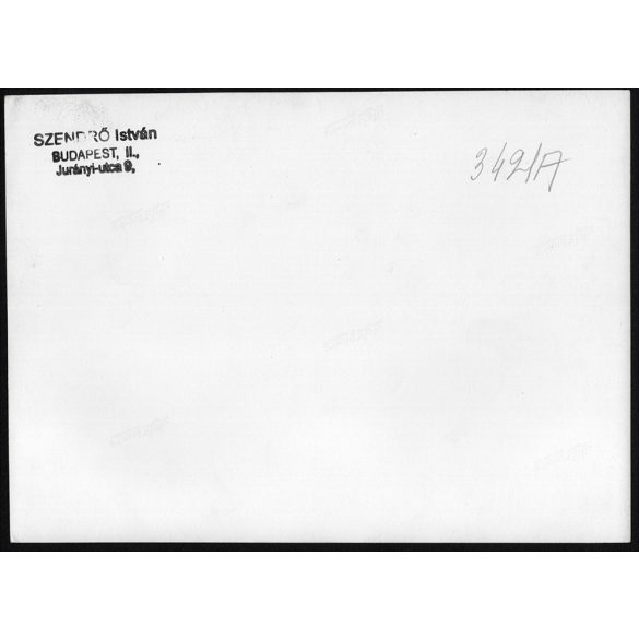 Nagyobb méret, Szendrő István fotóművészeti alkotása. Páva, madár, tollak, 1930-as évek. Eredeti, pecséttel jelzett fotó, papírkép, Agfa Brovira papíron. Dekorációnak, ajándéknak is kiváló.