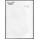 Nagyobb méret, Szendrő István fotóművészeti alkotása. Lovak a vályúnál, 1930-as évek. Eredeti, pecséttel jelzett fotó, papírkép. Dekorációnak, ajándéknak is kiváló.