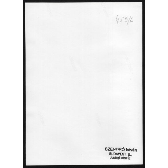 Nagyobb méret, Szendrő István fotóművészeti alkotása. Kiscicákkal, 1930-as évek. Eredeti, pecséttel jelzett fotó, papírkép, Agfa Brovira papíron. Dekorációnak, ajándéknak is kiváló. 