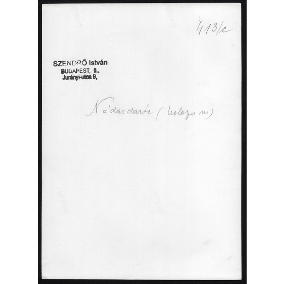 Nagyobb méret, Szendrő István fotóművészeti alkotása. Asszony nádasdaróci népviseletben, Nádasdaróc, Erdély, Kolozs megye, 1930-as évek. Eredeti, pecséttel jelzett fotó, papírkép, Agfa Brovira papíron