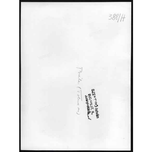 Nagyobb méret, Szendrő István fotóművészeti alkotása. Asszonyok népviseletben, üveggel a fejükön, Báta, Tolna megye, néprajz, helytörténet, 1930-as évek. Eredeti, pecséttel jelzett fotó, papírkép, Agf