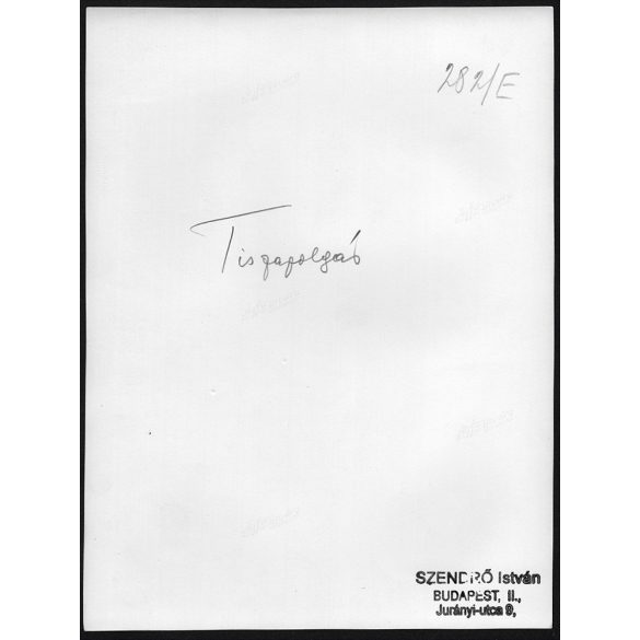 Nagyobb méret, Szendrő István fotóművészeti alkotása. Lány, népviseletben, fejfedő, Tiszapolgár, Hajdú-Bihar megye, néprajz, helytörténet. 1930-as évek. Eredeti, pecséttel jelzett fotó, papírkép, Agfa