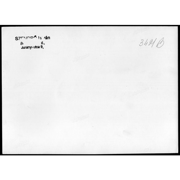 Nagyobb méret, Szendrő István fotóművészeti alkotása. Pávák, állatok, 1930-as évek. Eredeti, pecséttel jelzett fotó, papírkép, Agfa Brovira papíron. Dekorációnak, ajándéknak is kiváló. 