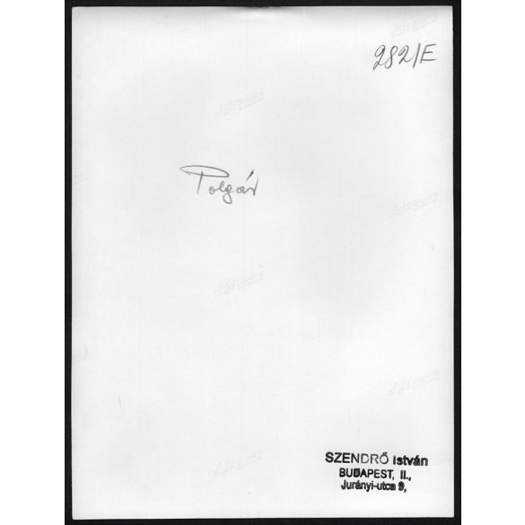 Nagyobb méret, Szendrő István fotóművészeti alkotása. Fiatal nő, népviseletben, Polgár, Hajdú-Bihar megye, néprajz, helytörténet, 1930-as évek. Eredeti, pecséttel jelzett fotó, papírkép, Agfa Brovira 