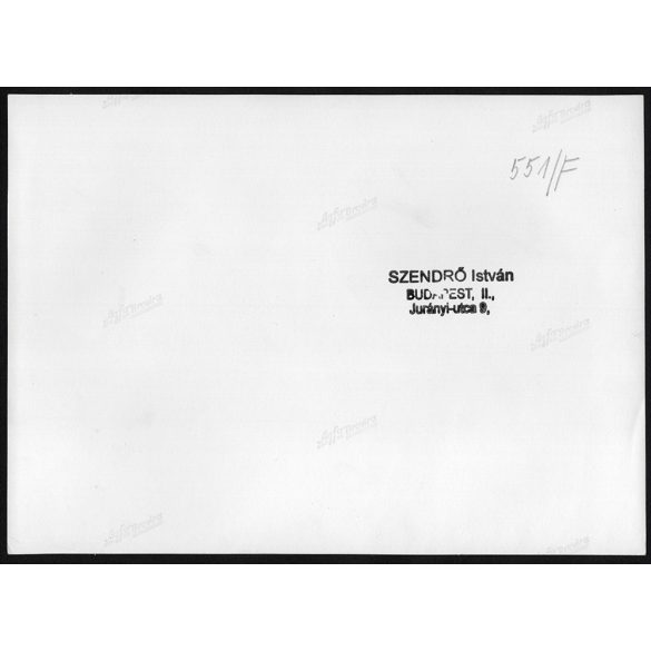 Nagyobb méret, Szendrő István fotóművészeti alkotása. Kiskutyák kosárban, zsáner, állat, 1930-as évek. Eredeti, pecséttel jelzett fotó, papírkép, Agfa Brovira papíron. Dekorációnak, ajándéknak is kivá