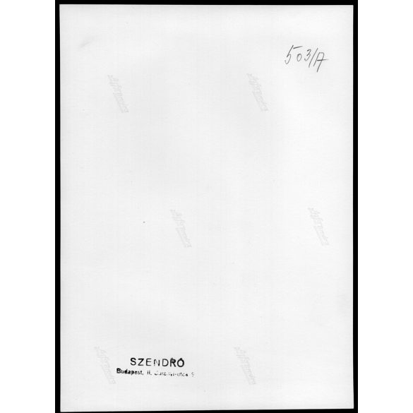 Nagyobb méret, Szendrő István fotóművészeti alkotása. Fiatal nő, fátyollal, 1930-as évek. Eredeti, pecséttel jelzett fotó, papírkép, Agfa Brovira papíron. Dekorációnak, ajándéknak is kiváló. 