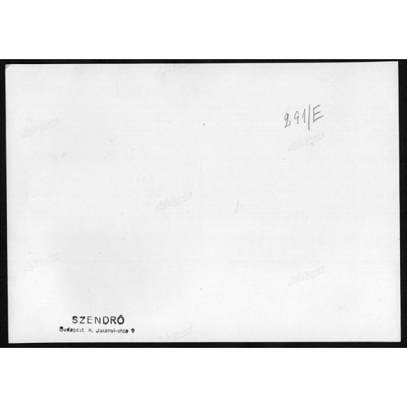 Nagyobb méret, Szendrő István fotóművészeti alkotása. Budapest, Budai vár, ünnepség, felvonulás, 1930-as évek. Eredeti, pecséttel jelzett fotó, papírkép, Agfa Brovira papíron. Dekorációnak, ajándéknak