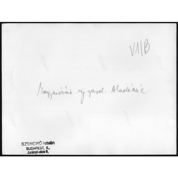 Nagyobb méret, Szendrő István fotóművészeti alkotása. Mosonmagyaróvári Gazdasági Akadémia épülete, 1930-as évek. Eredeti, pecséttel jelzett fotó, papírkép, Agfa Brovira papíron. Dekorációnak, ajándékn