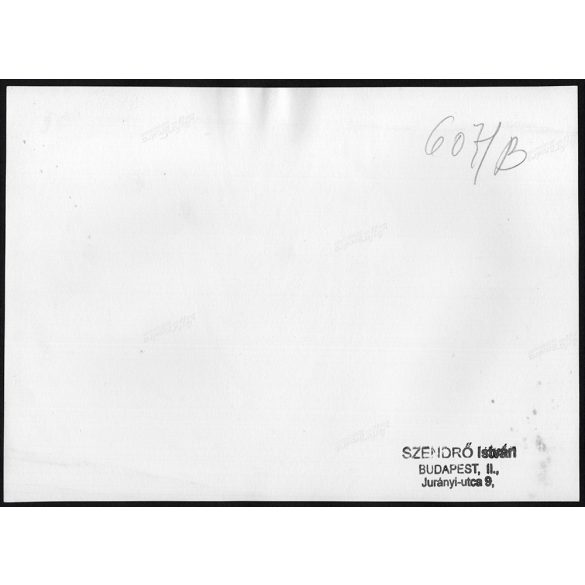 Nagyobb méret, Szendrő István fotóművészeti alkotása. Fiatal nő a Badacsony lábánál, Balaton, 1930-as évek. Eredeti, pecséttel jelzett fotó, papírkép, Agfa Brovira papíron. Dekorációnak, ajándéknak is