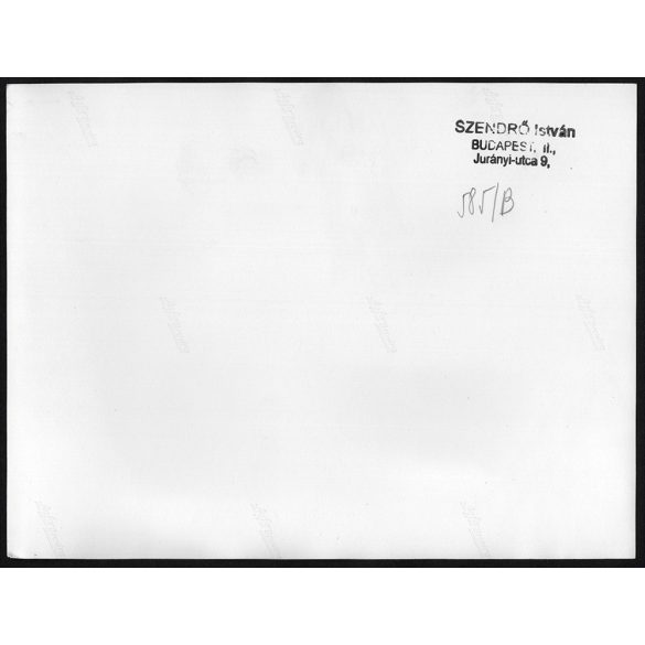 Nagyobb méret, Szendrő István fotóművészeti alkotása. Szőlő feldolgozás, szőlő préselés, 1930-as évek. Eredeti, pecséttel jelzett fotó, papírkép, Agfa Brovira papíron. Dekorációnak, ajándéknak is kivá