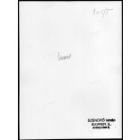 Nagyobb méret, Szendrő István fotóművészeti alkotása. Fiatalok népviseletben, 1930-as évek. Eredeti, pecséttel jelzett fotó, papírkép, Agfa Brovira papíron. Dekorációnak, ajándéknak is kiváló. 