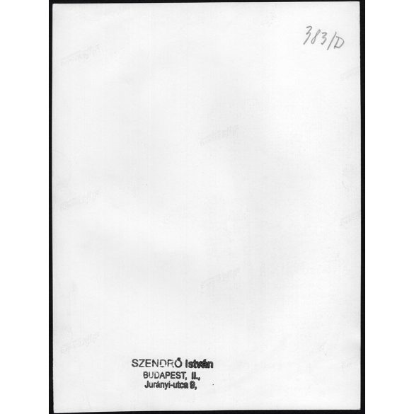 Nagyobb méret, Szendrő István fotóművészeti alkotása. Budapest, Astoria, Gyöngyösbokréta mozgalom, felvonulás népviseletben, villamos, jármű, közlekedés, néprajz. 1930-as évek. Eredeti, pecséttel jelz