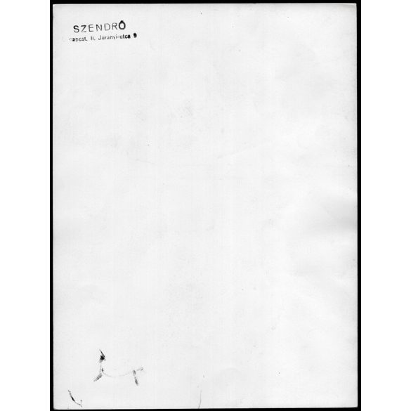 Nagyobb méret, Szendrő István fotóművészeti alkotása. Újszülött, Stern Sándor, 1930-as évek. Eredeti, pecséttel jelzett fotó, papírkép. Dekorációnak, ajándéknak is kiváló. 