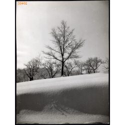   Nagyobb méret, Szendrő István fotóművészeti alkotása. Havas táj, tálkép, csendélet, 1930-as évek. Eredeti, pecséttel jelzett fotó, papírkép. Dekorációnak, ajándéknak is kiváló. 