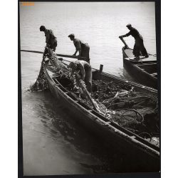   Nagyobb méret, Szendrő István fotóművészeti alkotása. Halászat, halak a halászhálóban, 1930-as évek. Eredeti, pecséttel jelzett fotó, papírkép, Agfa Brovira papíron. Dekorációnak, ajándéknak is kiváló