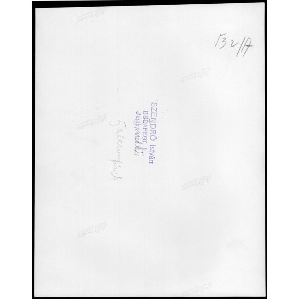 Nagyobb méret, Szendrő István fotóművészeti alkotása. Halászat, halak a halászhálóban, 1930-as évek. Eredeti, pecséttel jelzett fotó, papírkép, Agfa Brovira papíron. Dekorációnak, ajándéknak is kiváló