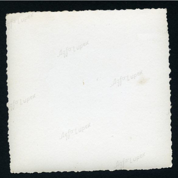 Leventék (cserkészek?) zászlófelvonáson, egyenruha, darutoll, Magyarország, 1930-as évek, Eredeti fotó, papírkép.  