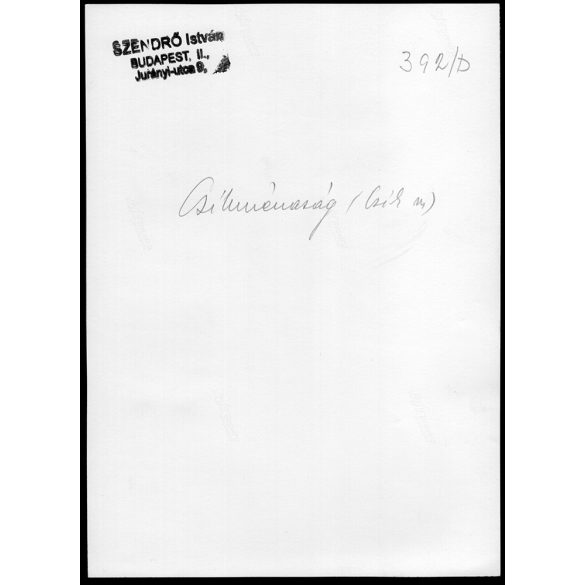 Nagyobb méret, Szendrő István fotóművészeti alkotása. Csíkménasági (Hargita megye) népviseletben, 1930-as évek. Eredeti, pecséttel jelzett fotó, papírkép, Agfa Brovira papíron. Dekorációnak, ajándékna