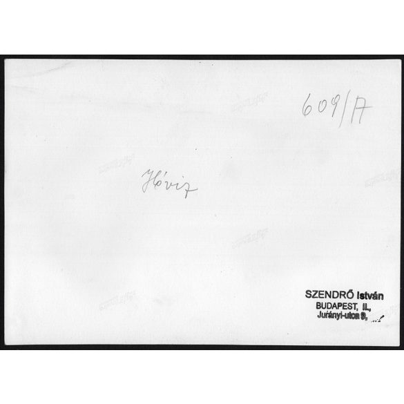 Nagyobb méret, Szendrő István fotóművészeti alkotása. A Hévízi-tó, Zala megye, 1930-as évek. Eredeti, pecséttel jelzett fotó, papírkép, Agfa Brovira papíron. Dekorációnak, ajándéknak is kiváló. méret 