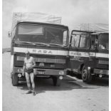 Sofőrök RÁBA-MAN kamionokkal, jármű, közlekedés, teherautó, 1970-es évek, Eredeti fotó, papírkép.   