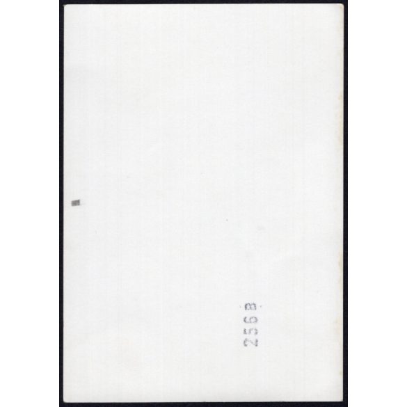 Sofőrök RÁBA-MAN kamionokkal, jármű, közlekedés, teherautó, 1970-es évek, Eredeti fotó, papírkép.   