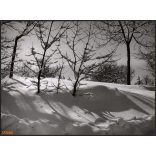 Nagyobb méret, Szendrő István fotóművészeti alkotása. Téli látkép, erdő, csendélet, tájkép, 1930-as évek. Eredeti, pecséttel jelzett fotó, papírkép, Agfa Brovira papíron. Dekorációnak, ajándéknak is k