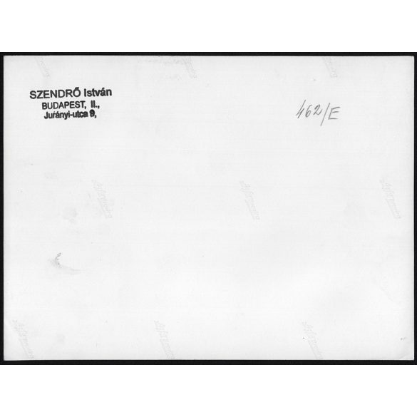 Nagyobb méret, Szendrő István fotóművészeti alkotása. Téli látkép, erdő, csendélet, tájkép, 1930-as évek. Eredeti, pecséttel jelzett fotó, papírkép, Agfa Brovira papíron. Dekorációnak, ajándéknak is k