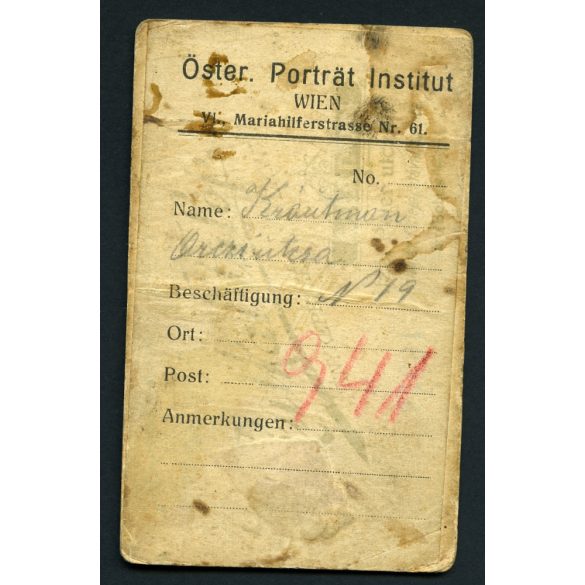 Rutkai műterem, Arad, Erdély, elegáns nő gyönyörű ruhában, 1890-es évek, helytörténet, Eredeti CDV, vizitkártya fotó, hátulján ragasztás.  