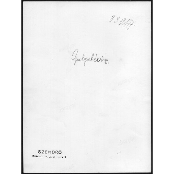 Nagyobb méret, Szendrő István fotóművészeti alkotása. Nők, Galgahévízi (Pest megye) népviseletben, 1930-as évek. Eredeti, pecséttel jelzett fotó, papírkép, Agfa Brovira papíron. Dekorációnak, ajándékn