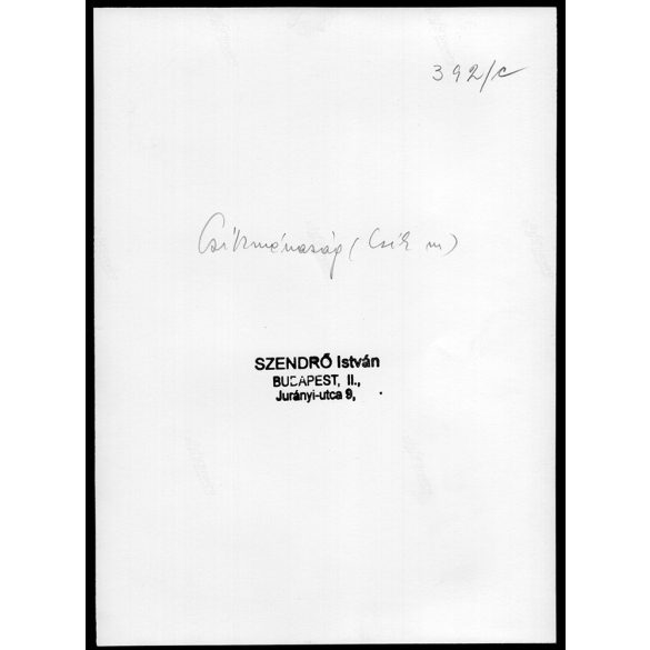 Nagyobb méret, Szendrő István fotóművészeti alkotása. Fiatal lány, csíkménasági (Hargita megye) népviseletben, 1930-as évek. Eredeti, pecséttel jelzett fotó, papírkép, Agfa Brovira papíron. Dekoráción