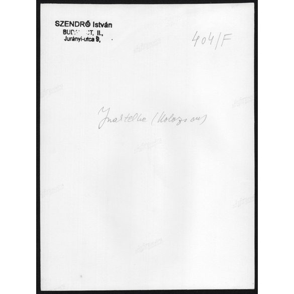 Nagyobb méret, Szendrő István fotóművészeti alkotása. Lányok inaktelki (Kolozs megye) népviseletben, 1930-as évek. Eredeti, pecséttel jelzett fotó, papírkép, Agfa Brovira papíron. Dekorációnak,