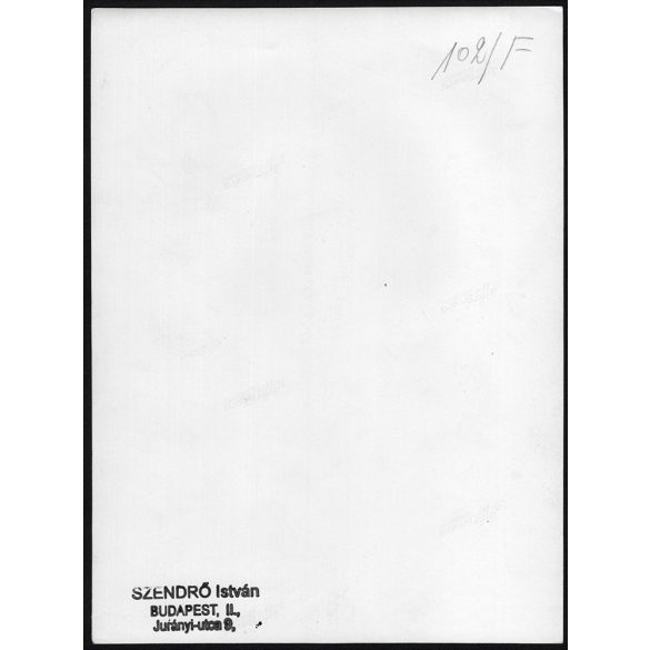 Nagyobb méret, Szendrő István fotóművészeti alkotása. Kislány játékmacival, 1930-as évek. Eredeti, pecséttel jelzett fotó, papírkép, Agfa Brovira papíron. Dekorációnak, ajándéknak is kiváló. 