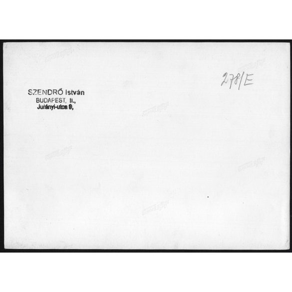 Nagyobb méret, Szendrő István fotóművészeti alkotása. Szürke marhák a mezőn, 1930-as évek. Eredeti, pecséttel jelzett fotó, papírkép, Agfa Brovira papíron. Dekorációnak, ajándéknak is kiváló. 