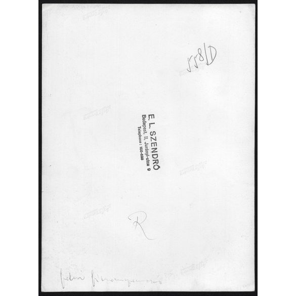 Nagyobb méret, Szendrő István fotóművészeti alkotása. Juhász ostorral, juhok, 1930-as évek. Eredeti, pecséttel jelzett fotó, papírkép, Agfa Brovira papíron. Dekorációnak, ajándéknak is kiváló. 