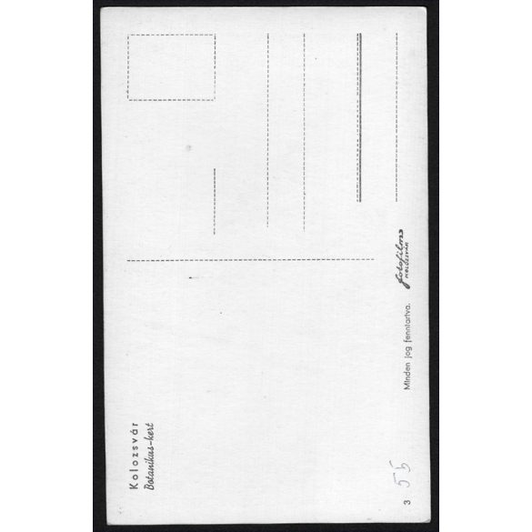 Kolozsvár, Erdély, Botanikus-kert, 2. világháború, helytörténet, 1943, 1940-es évek, Eredeti képeslapfotó, papírkép.   