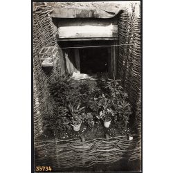   Kiskert kalitkával egy föld alatti bunker ablakában, 1. világháború, különös, 1910-es évek, Eredeti fotó, papírkép.   