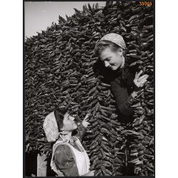   Nagyobb méret, Szendrő István fotóművészeti alkotása. Lányok pirospaprikával, 1930-as évek. Eredeti, pecséttel jelzett fotó, papírkép, Agfa Brovira papíron. Dekorációnak, ajándéknak is kiváló. 