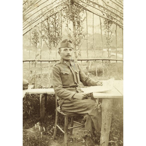 Magyar (K.u.K.) katona a lugasban, szakaszvezető, gépkocsivezető, egyenruha, 1. világháború, 1910-es évek, Eredeti fotó, papírkép.   