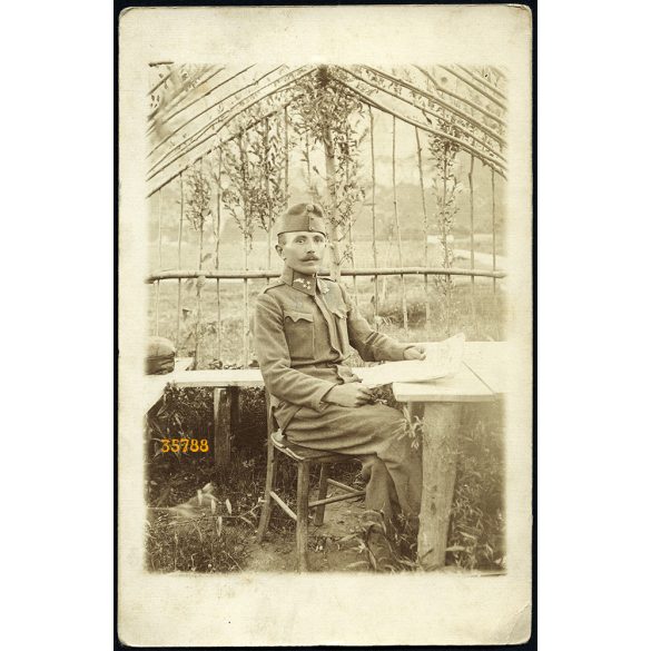 Magyar (K.u.K.) katona a lugasban, szakaszvezető, gépkocsivezető, egyenruha, 1. világháború, 1910-es évek, Eredeti fotó, papírkép.   