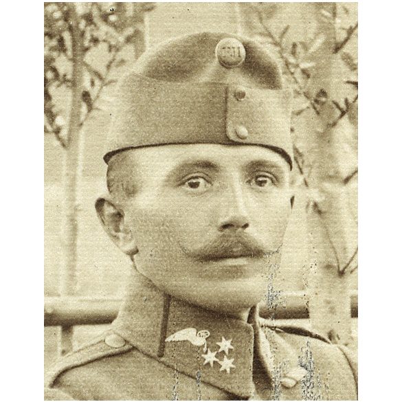 Magyar (K.u.K.) katona a lugasban, szakaszvezető, gépkocsivezető, egyenruha, 1. világháború, 1910-es évek, Eredeti fotó, papírkép.   