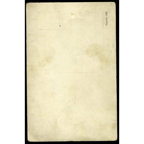 Magyar (K.u.K.) katona a lugasban, szakaszvezető, gépkocsivezető, egyenruha, 1. világháború, 1910-es évek, Eredeti fotó, papírkép.   