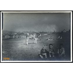   Gyerekek, legelő állatok a Tabán felett, Budapest, Gellért-hegy, Naphegy, helytörténet, 1930. IX. 25, 1930-as évek, Eredeti fotó, papírkép.