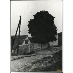   Nagyobb méret, Hullám utca 16., Tabán, Budapest, Albecker második vendéglője a Naphegy utca sarkán, kocsma, helytörténet, 1920-as évek, Eredeti fotó, papírkép.  