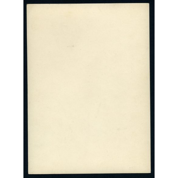 Nagyobb méret, Hullám utca 16., Tabán, Budapest, Albecker második vendéglője a Naphegy utca sarkán, kocsma, helytörténet, 1920-as évek, Eredeti fotó, papírkép.  