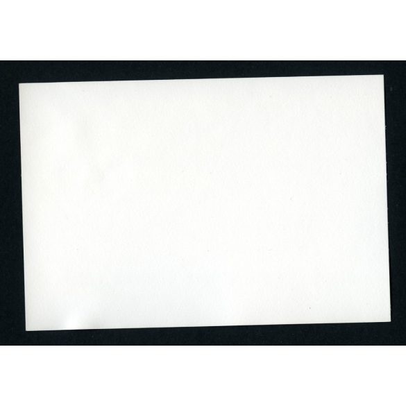 Autóverseny a Népligetben, Budapest, Mercedes 220 SE kabrió, jármű, közlekedés, 1960-as évek, Eredeti fotó, papírkép.  