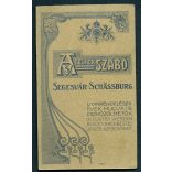 Szabó műterem, Segesvár, Erdély, hadapród iskolás fiú egyenruhában, 1. világháború, monarchia,  helytörténet, 1900-as évek, Eredeti CDV, vizitkártya fotó.
