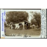 Magyar katonák a táborban, Zimony, Vajdaság, Tábori Posta pecséttel, Szinte László lapja, szerb paraszt népviseletben, egyenruha, 1. világháború, 1914. november 18., 1910-es évek, Eredeti fotó, papírk