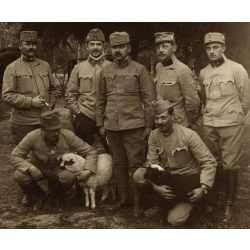   Magyar katonák a táborban bárányokkal, Belgrád, Tábori Posta pecséttel, Szinte László lapja, egyenruha, 1. világháború, 1916. március 24., 1910-es évek, Eredeti fotó, papírkép hátoldalán gyönyörű írás