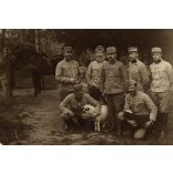 Magyar katonák a táborban bárányokkal, Belgrád, Tábori Posta pecséttel, Szinte László lapja, egyenruha, 1. világháború, 1916. március 24., 1910-es évek, Eredeti fotó, papírkép hátoldalán gyönyörű írás