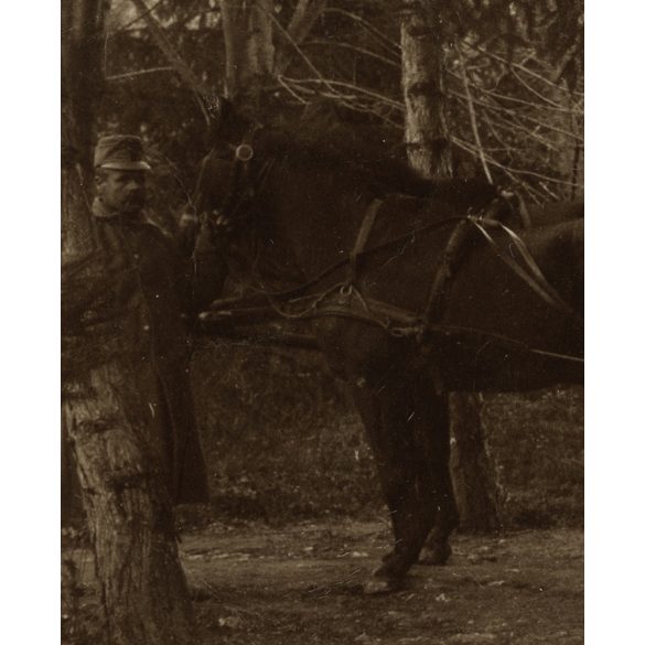 Magyar katonák a táborban bárányokkal, Belgrád, Tábori Posta pecséttel, Szinte László lapja, egyenruha, 1. világháború, 1916. március 24., 1910-es évek, Eredeti fotó, papírkép hátoldalán gyönyörű írás